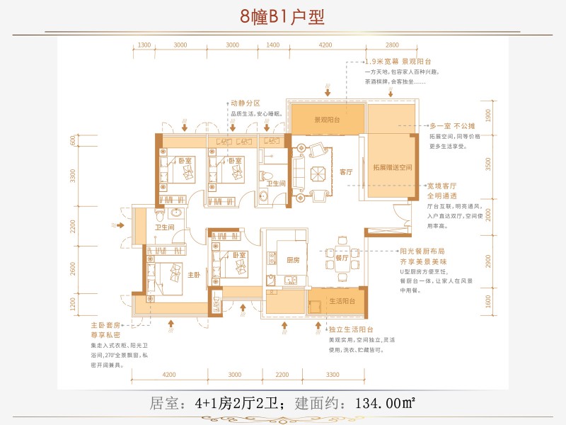 B1户型